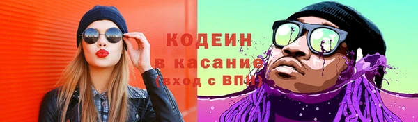 дмт Алзамай