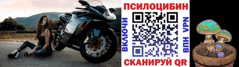 Галлюциногенные грибы GOLDEN TEACHER  Новошахтинск 